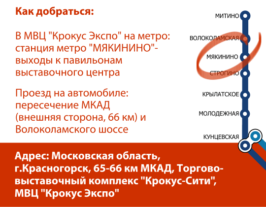 v02.png