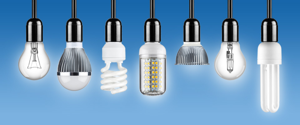 bulb-img1.jpg