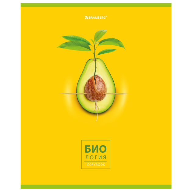 tetrad AVOCADO.png