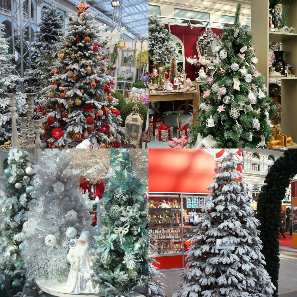 MyCollages(30).jpg