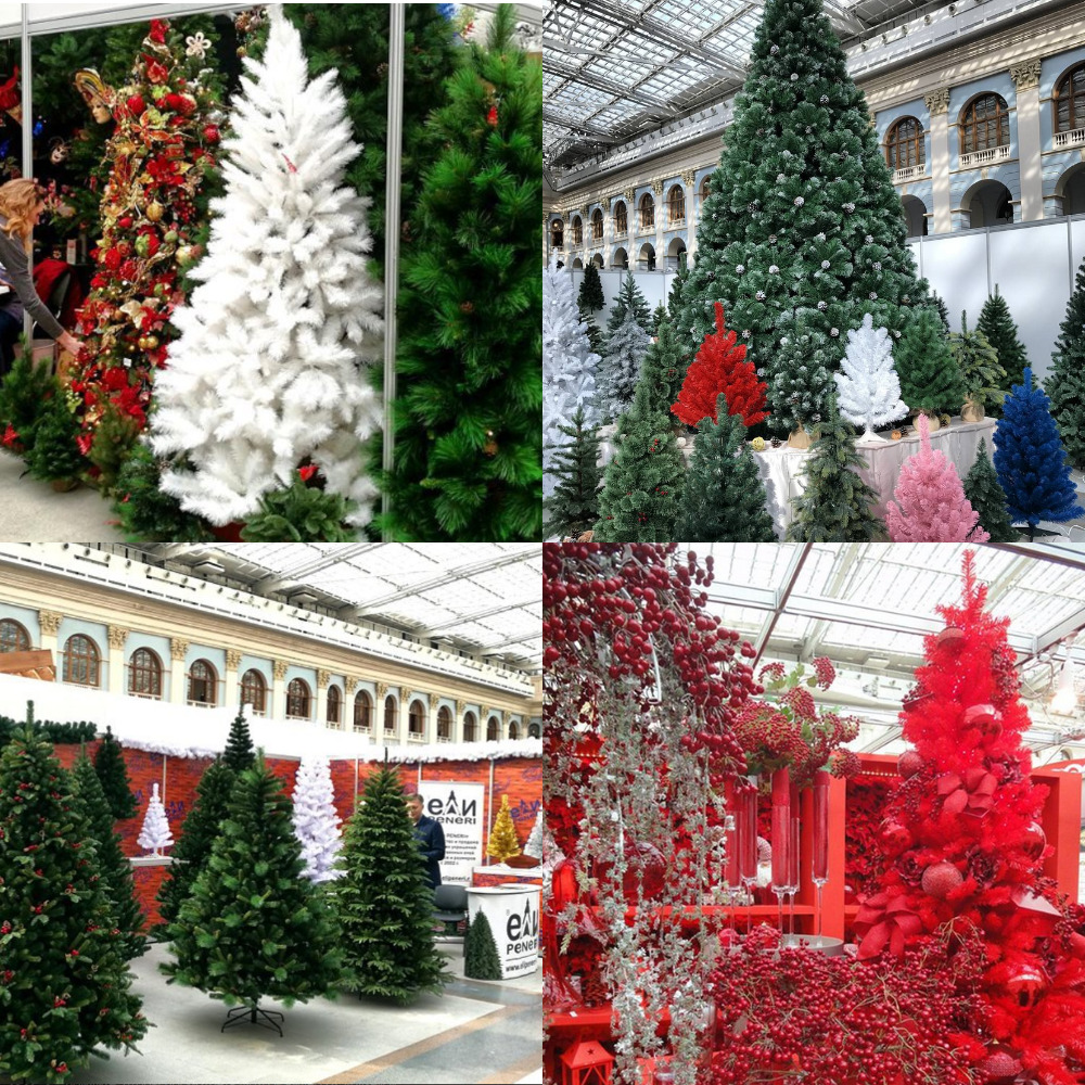 MyCollages(34).jpg
